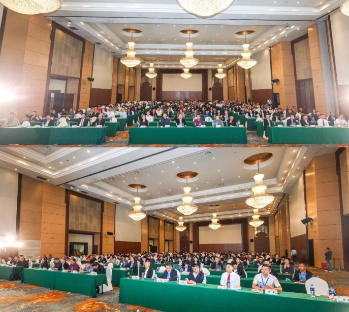 9ae0e7131188f8e7dba2f0c637ac64e.png 9ae0e7131188f8e7dba2f0c637ac64e.png