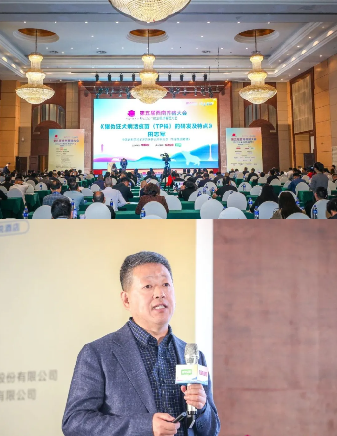 1d0d18286de1d19a5d79fb61e0fc387.png 1d0d18286de1d19a5d79fb61e0fc387.png